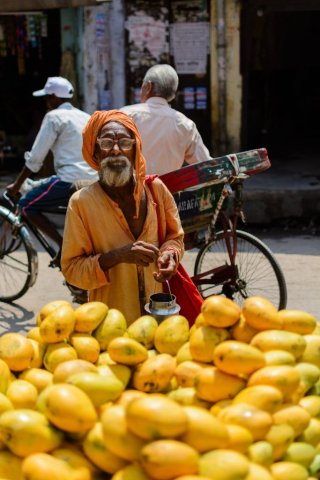 Mangos in Delhi